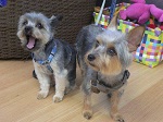 2012-09-06 15.38.47.jpg